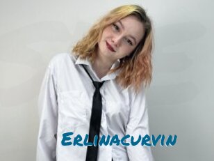 Erlinacurvin