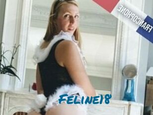 Feline18