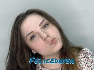 Felicedryer