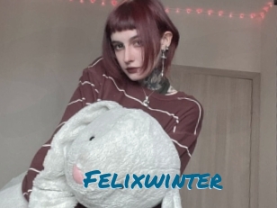 Felixwinter