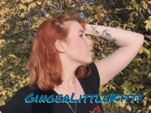 GingerLittleKitty