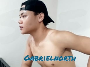 gabrielnorth Sexcams Live Erotik