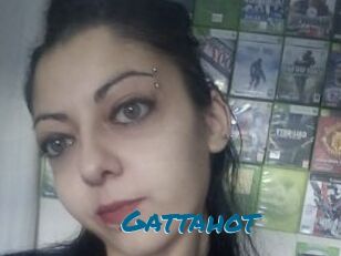Gattahot