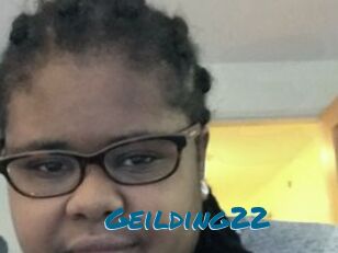Geilding22