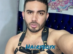 hairyboyx Sexcams Live Erotik