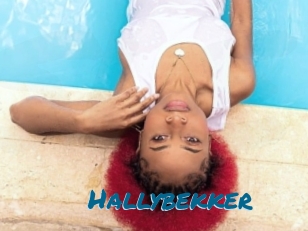 Hallybekker