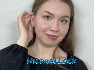 Hildhallock
