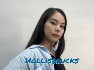 Hollisbrucks