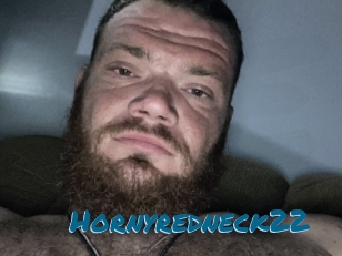 Hornyredneck22
