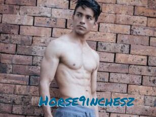 Horse9inchesz