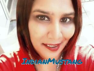 IndianMustang