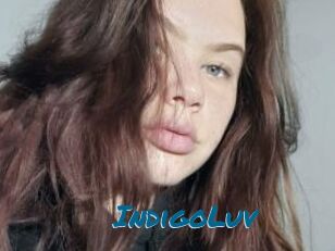 IndigoLuv