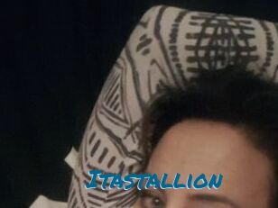 Itastallion