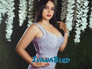 IvanaBird