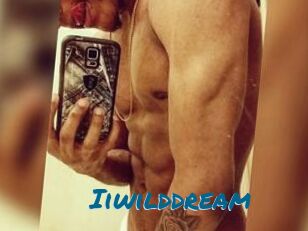 Iiwilddream