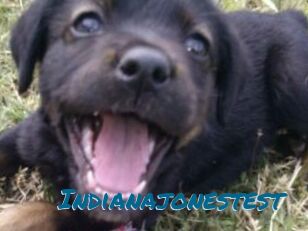 Indianajonestest