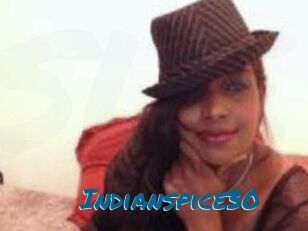 Indianspice30