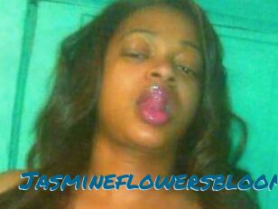Jasmineflowersbloom