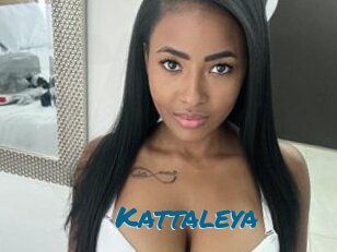 Kattaleya