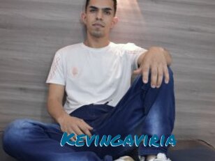 Kevingaviria
