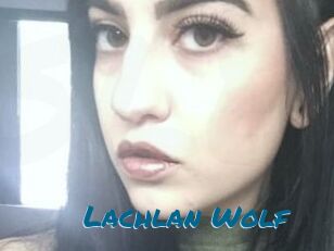 Lachlan_Wolf