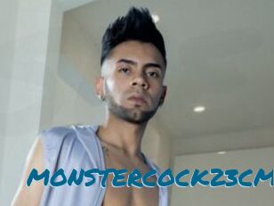 MONSTERCOCK23CM