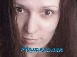 Mandragora