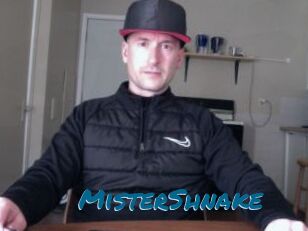 MisterShnake