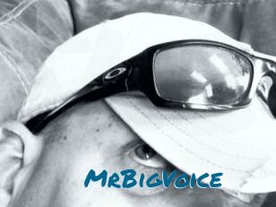 MrBigVoice