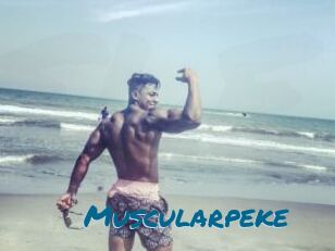 Muscularpeke