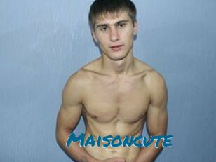 Maisoncute