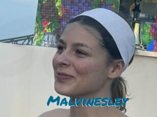 Malvinesley