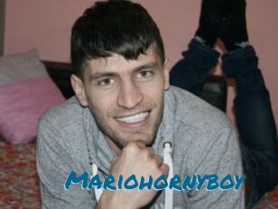 Mariohornyboy