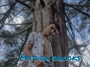 Mathew_brooks