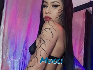 Mucci