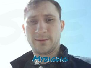 Mybigdig