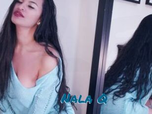 Nala_Q