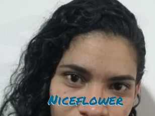 Nice_flower