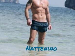 Nattenino