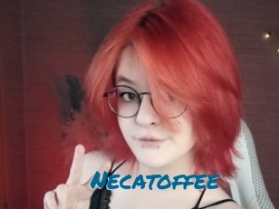 necatoffee Sexcams Live Erotik