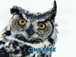 Owlface