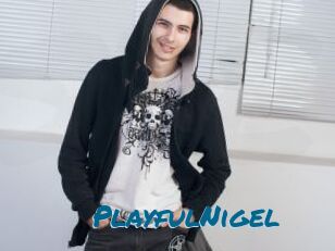 PlayfulNigel