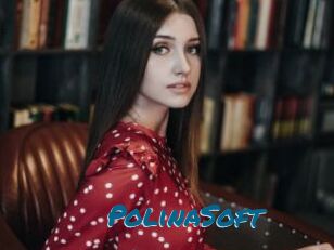 PolinaSoft