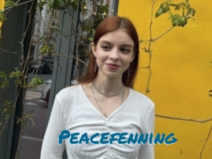 Peacefenning