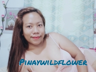 Pinaywildflower