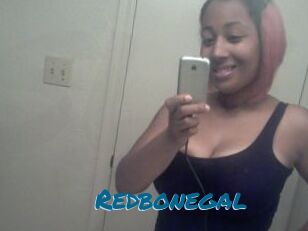 Redbonegal