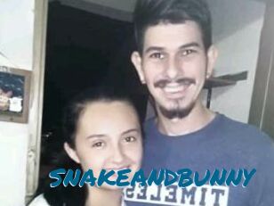 SNAKEANDBUNNY