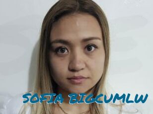 SOFIA_BIGCUMLW