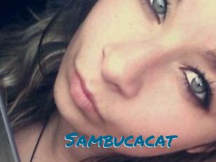 Sambucacat