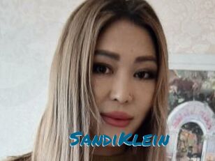 SandiKlein